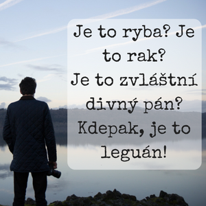 Nesmyslné výkřiky retardovaného racka jsou paradoxně jednou z nejsrozumitelnějších částí expozice. Ty a hezká barevná zviřátka. Nakonec všichni jsme sem přišli kvůli krásným barevným zviřátkům, no ne? 