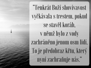 Patrně nejpodstatnější, neboť závěrečná, informace úvodních slov o příběhu Archy. Biblická škola? Ne, Národní muzeum.